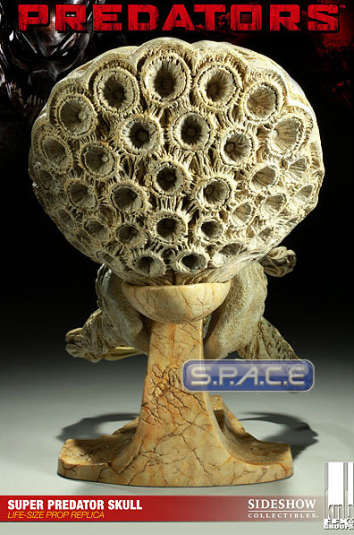 1:1 Super Predator Skull Life-Size Prop Replica (Predators)