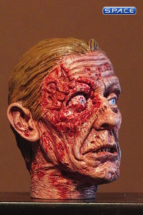 1/6 Scale Zombie Head Johnny (professional paint)