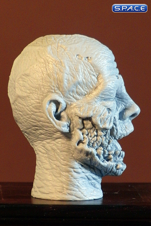 1/6 Scale Zombie Head Saul (unpainted)