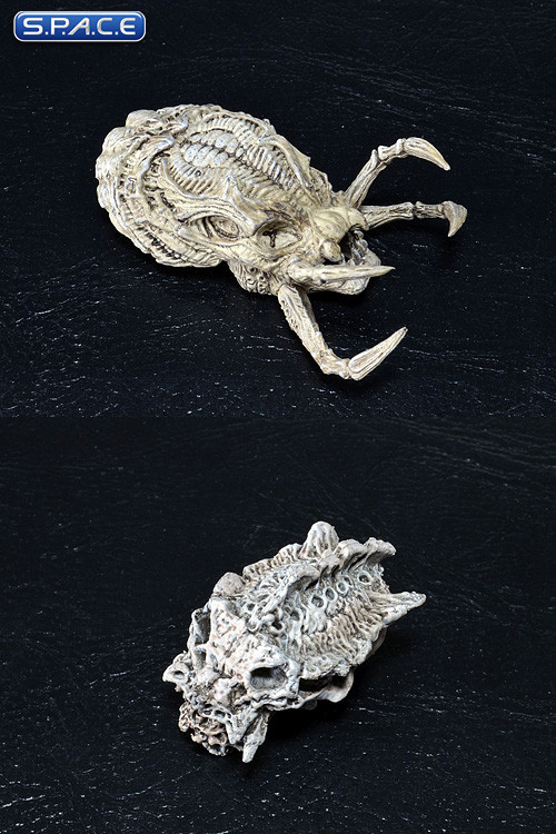 Predator Trophy Skulls Accessory Pack (Predators)