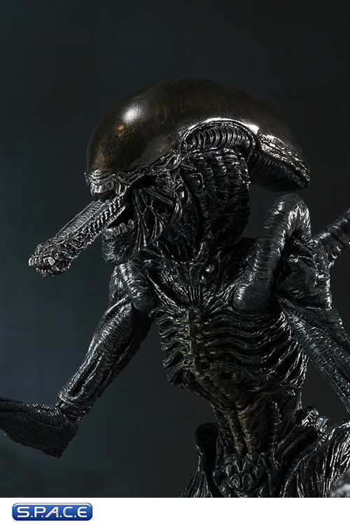 S.H.MonsterArts Alien Warrior (Alien vs. Predator)