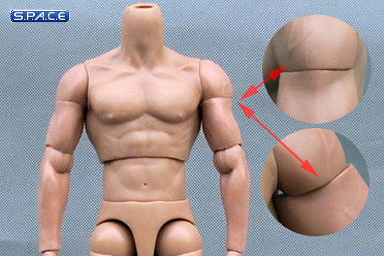 1/6 Scale Musclar Body B005