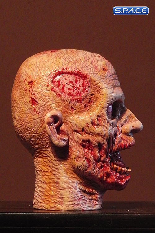 1/6 Scale Zombie Head Frank (professional paint)