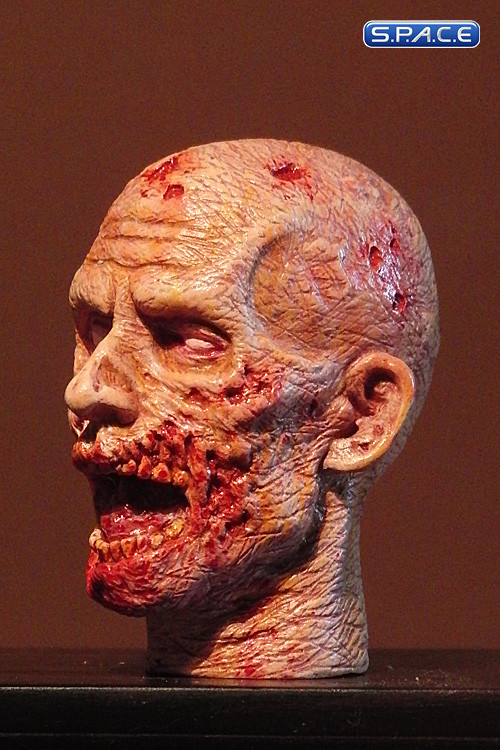 1/6 Scale Zombie Head Frank (professional paint)