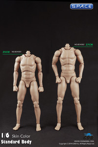 1/6 Scale Standard male high Body - narrow shoulders