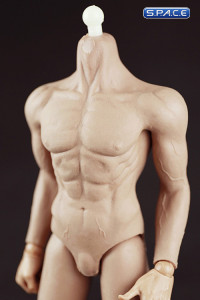 1/6 Scale Muscular male Body - all seamless