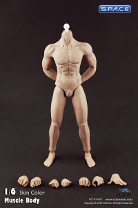 1/6 Scale Muscular male Body - all seamless