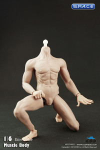 1/6 Scale Muscular male Body - all seamless