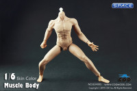 1/6 Scale Muscular male Body - all seamless