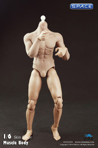 1/6 Scale Muscular male Body - semi seamless