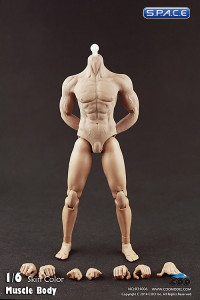 1/6 Scale Muscular male Body - semi seamless