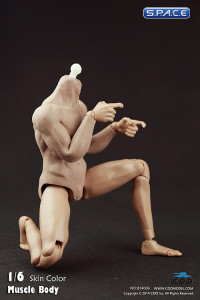 1/6 Scale Muscular male Body - semi seamless