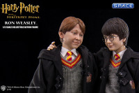 1/6 Scale Ron Weasley (Harry Potter and the Sorcerers Stone)