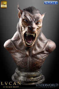 1:1 Lycan Life-Size Bust (Underworld)