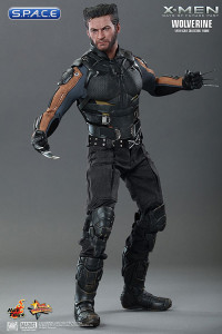 1/6 Scale Wolverine Movie Masterpiece (X-Men: Days of Future Past)