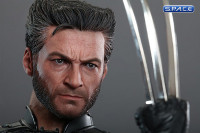 1/6 Scale Wolverine Movie Masterpiece (X-Men: Days of Future Past)
