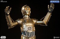 1/6 Scale C-3PO (Star Wars)