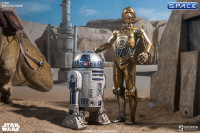 1/6 Scale C-3PO (Star Wars)