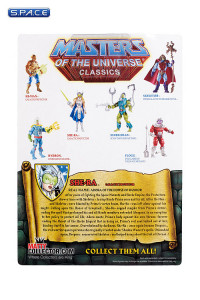 New Adventures She-Ra - Galactic Protector (MOTU Classics)