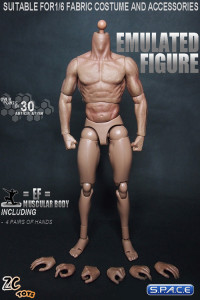 1/6 Scale Muscular Emulated Figure Body