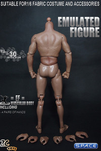1/6 Scale Muscular Emulated Figure Body