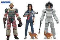 Set of 3: Aliens Series 4 (Alien)