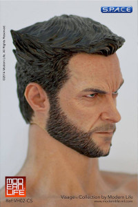 1/6 Scale Logan Head (Visage Collection)