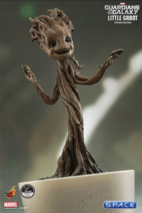 1/4 Scale Little Groot QS004 (Guardians of the Galaxy)