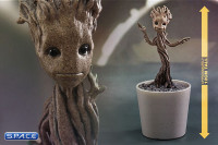 1/4 Scale Little Groot QS004 (Guardians of the Galaxy)