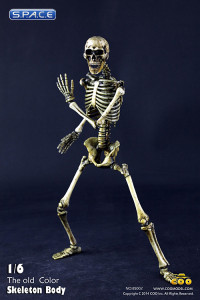 1/6 Scale movable Skeleton Body (old color)