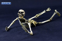 1/6 Scale movable Skeleton Body (old color)