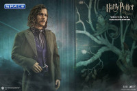 1/6 Scale Sirius Black (Harry Potter and the Order of the Phoenix)