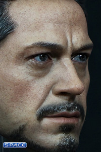 1/6 Scale Tony Custom Head