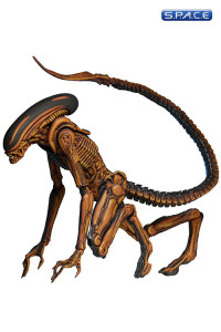 Dog Alien - Classic Videogame Appearance (Alien 3)