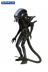 1/4 Scale 1979 Alien Big Chap (Alien)