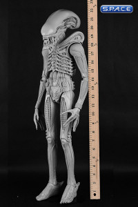 1/4 Scale 1979 Alien Big Chap (Alien)