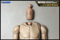 1/6 Scale Good Posture Durable Body