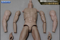 1/6 Scale Good Posture Durable Body