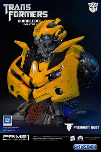 Bumblebee Bust Evolution 1 (Transformers)