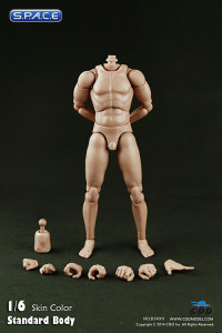 1/6 Scale Standard male Body narrow shoulders