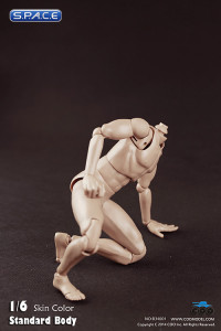 1/6 Scale Standard male Body narrow shoulders