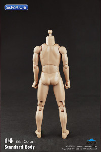 1/6 Scale Standard male Body narrow shoulders