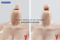 1/6 Scale Female Large Breast Body - Medium Tan/Asian (Ver. 2.0)