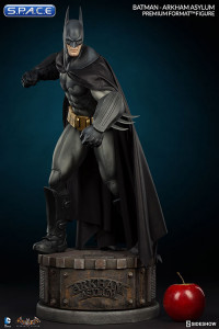 Batman Arkham Asylum Premium Format Figure (Batman Arkham Asylum)