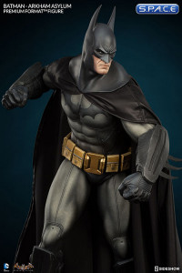 Batman Arkham Asylum Premium Format Figure (Batman Arkham Asylum)