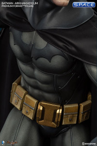 Batman Arkham Asylum Premium Format Figure (Batman Arkham Asylum)