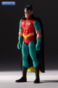 12 Jumbo Robin (DC Comics Kenner)