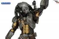 Predators Series 14 Assortment (Case of 14)