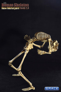 1/6 Scale Human Skeleton Body 2.0