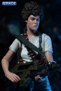 Complete Set of 4: Aliens Series 5 (Alien)